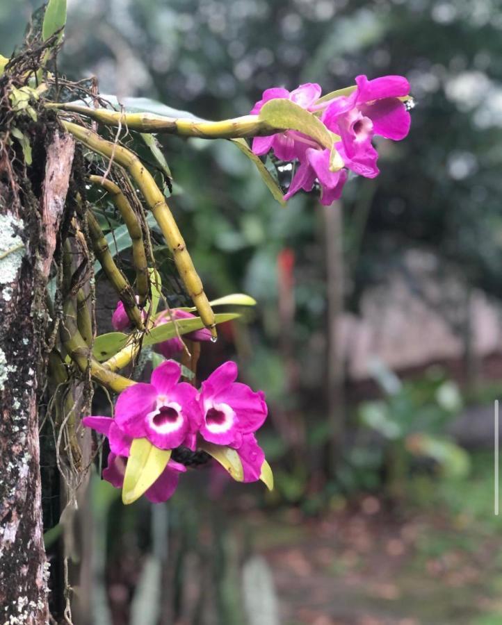 Casario Villa Paraty Bagian luar foto